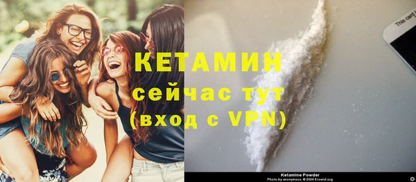 стаф Осинники