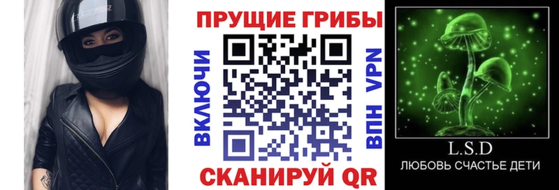 Галлюциногенные грибы MAGIC MUSHROOMS  сайты даркнета официальный сайт  Кубинка  как найти закладки 